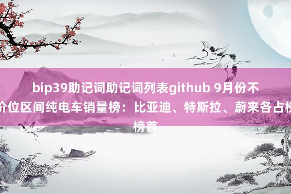 bip39助记词助记词列表github 9月份不同价位区间纯电车销量榜：比亚迪、特斯拉、蔚来各占榜首