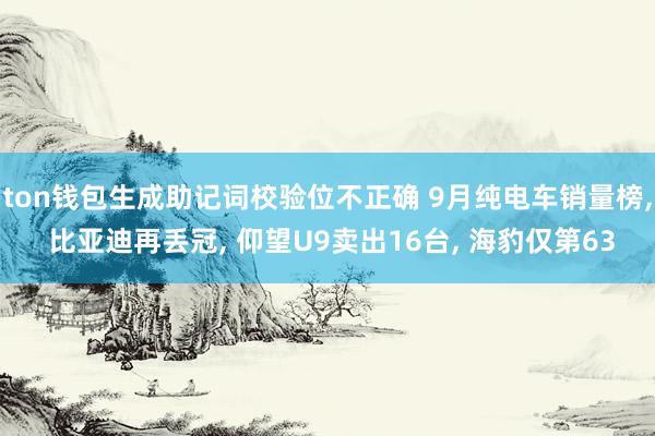 ton钱包生成助记词校验位不正确 9月纯电车销量榜, 比亚迪再丢冠, 仰望U9卖出16台, 海豹仅第63