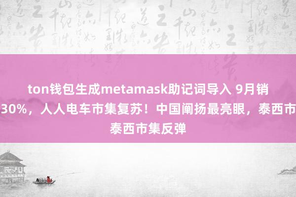 ton钱包生成metamask助记词导入 9月销量大增30%，人人电车市集复苏！中国阐扬最亮眼，泰西市集反弹