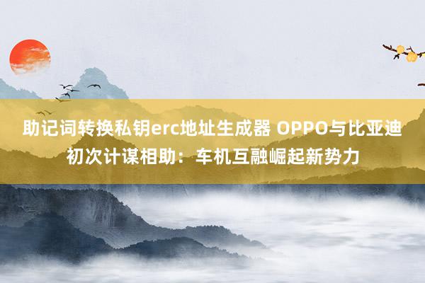 助记词转换私钥erc地址生成器 OPPO与比亚迪初次计谋相助：车机互融崛起新势力