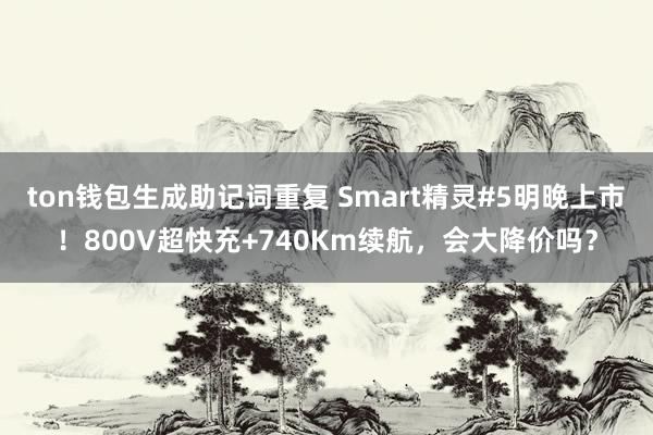 ton钱包生成助记词重复 Smart精灵#5明晚上市！800V超快充+740Km续航，会大降价吗？