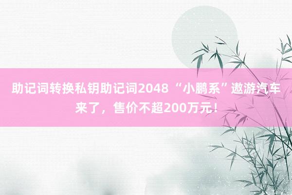 助记词转换私钥助记词2048 “小鹏系”遨游汽车来了，售价不超200万元！